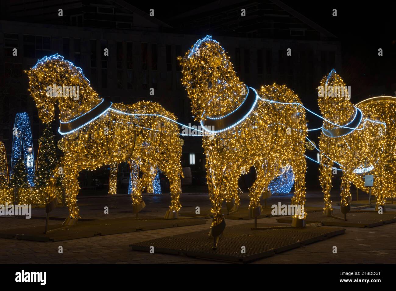 Figure di cavalli d'oro, piazza della cattedrale, mondo di luci, Magdeburgo, la più estesa illuminazione natalizia e invernale della Germania centrale, Sassonia-Anhalt Foto Stock