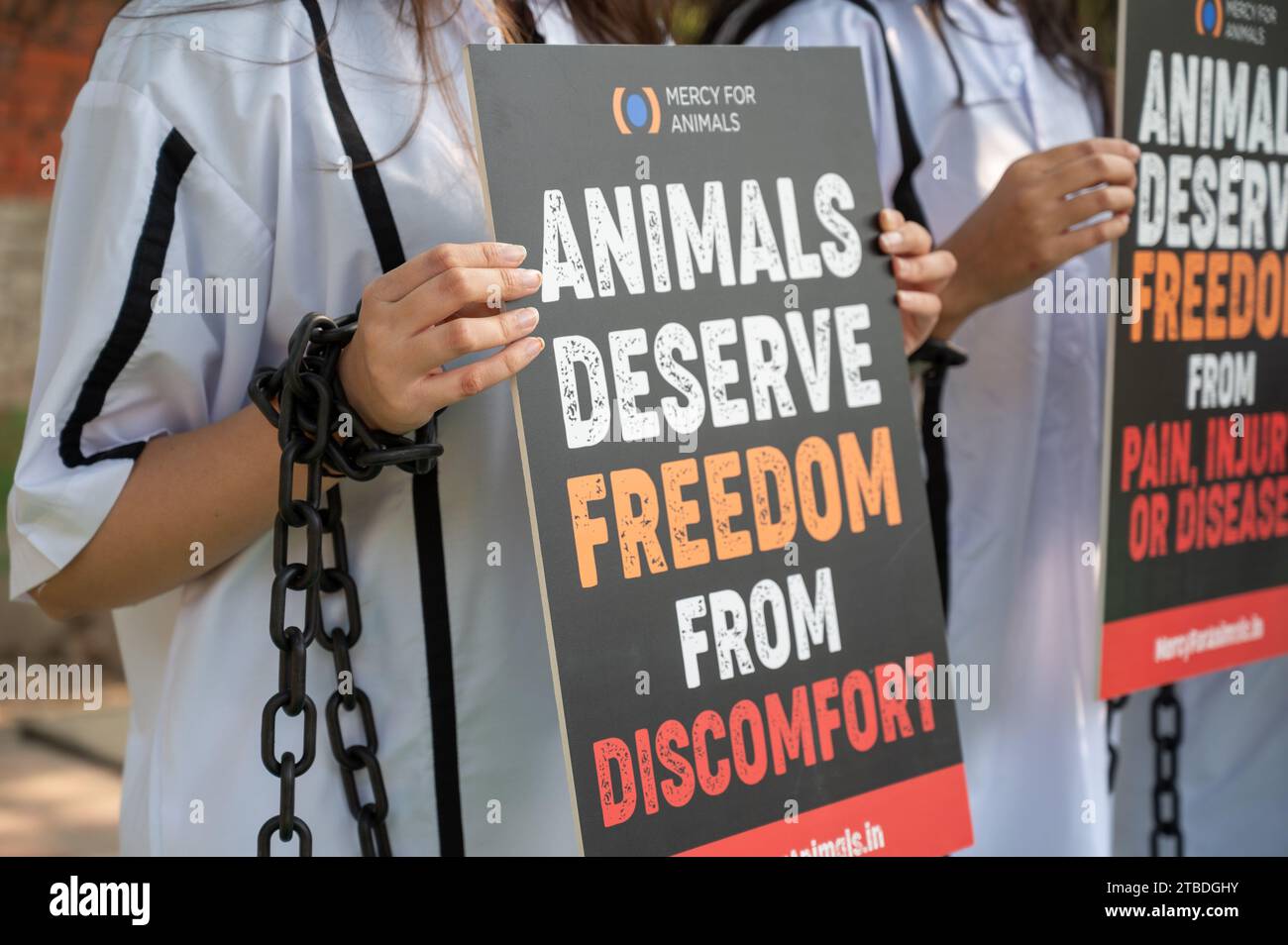 Un volontario della Mercy for Animals (organizzazione no-profit), vestito da prigioniero in manette e manette, tiene un cartello con un messaggio convincente: "Tutti gli animali meritano di essere liberi" durante la dimostrazione a Jantar Mantar. La giornata dei diritti degli animali, un'occasione significativa dedicata alla sensibilizzazione sul trattamento etico degli animali, funge da piattaforma per questi sostenitori per esprimere le loro preoccupazioni e spingere per un cambiamento positivo nel trattamento degli animali. Foto Stock