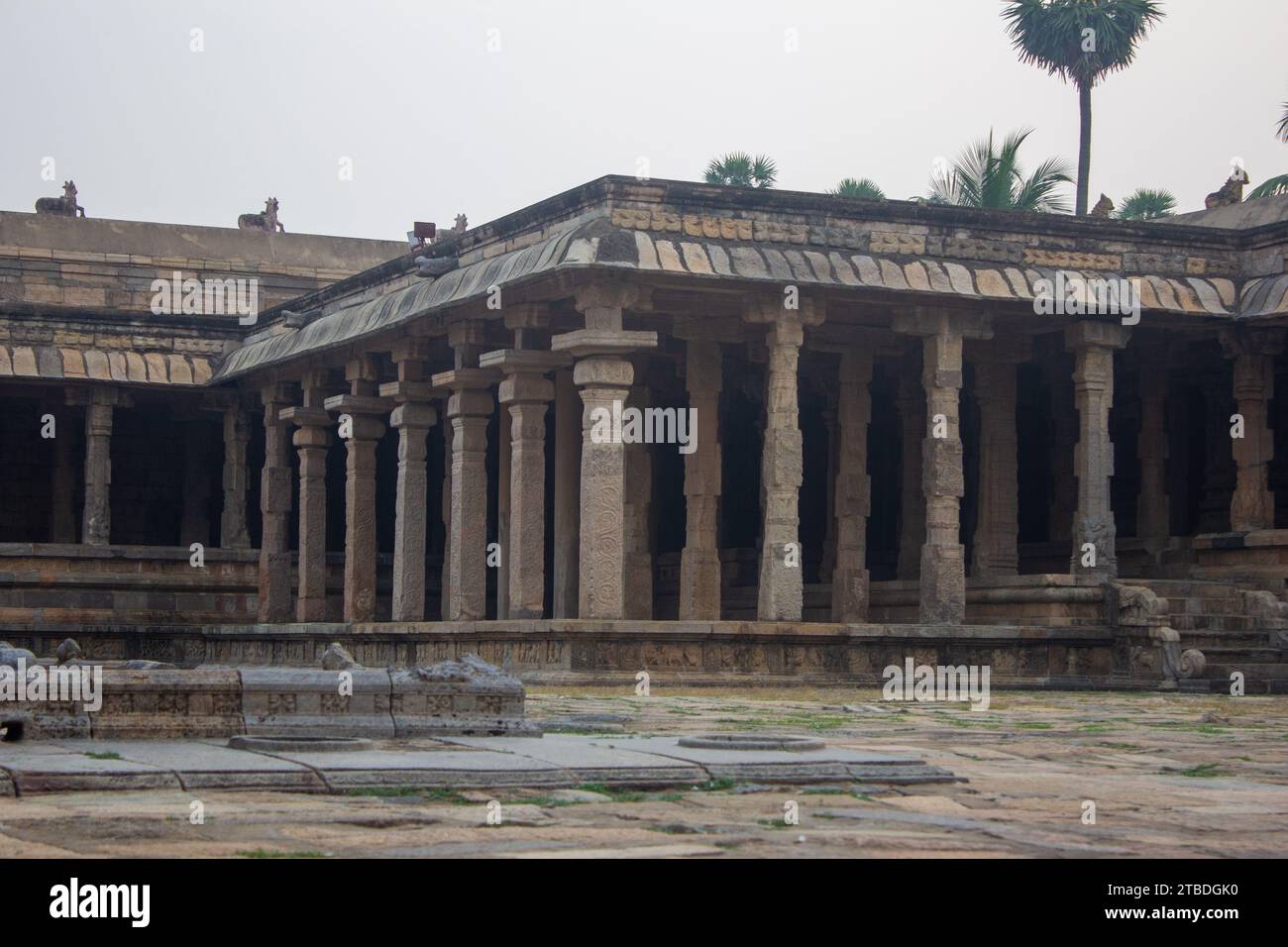 I pilastri della sala del Tempio di Airavatesvara si trovano nella città di Darasuram a Kumbakonam, India. Set di messa a fuoco del piano superiore. Foto Stock