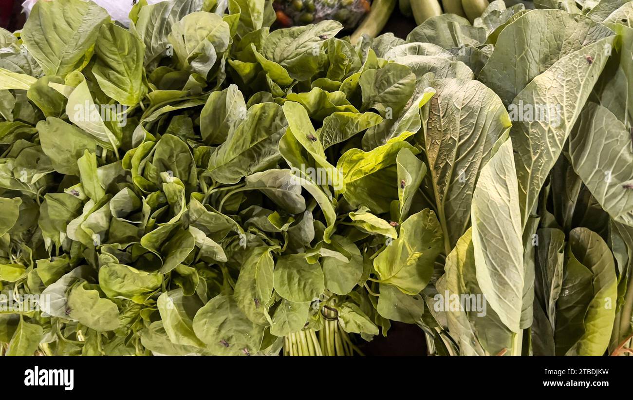 Primo piano di spinaci freschi biologici crudi e senape verdi in una tradizionale bancarella di verdure Foto Stock