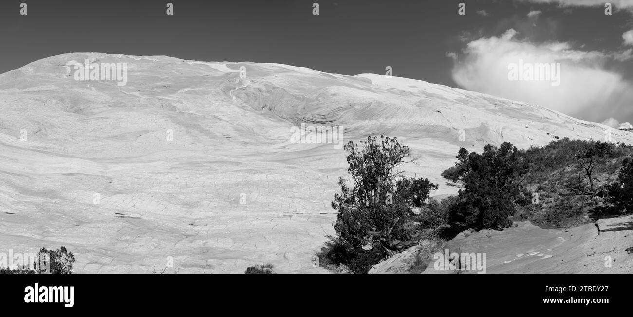 Foto panoramica dell'area di Yellow Rock, una collina di arenaria per lo più gialla con colorate inclusioni. Cottonwood Canyon, Grand Staircase-esca Foto Stock