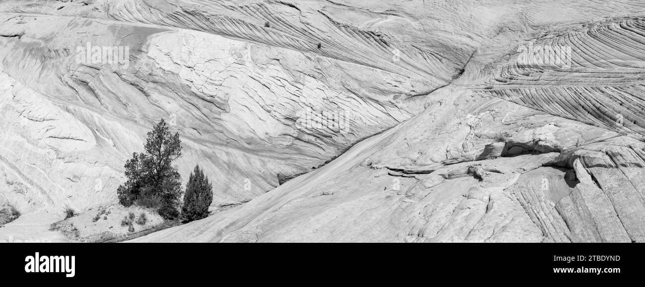 Foto panoramica dell'area di Yellow Rock, una collina di arenaria per lo più gialla con colorate inclusioni. Cottonwood Canyon, Grand Staircase-esca Foto Stock