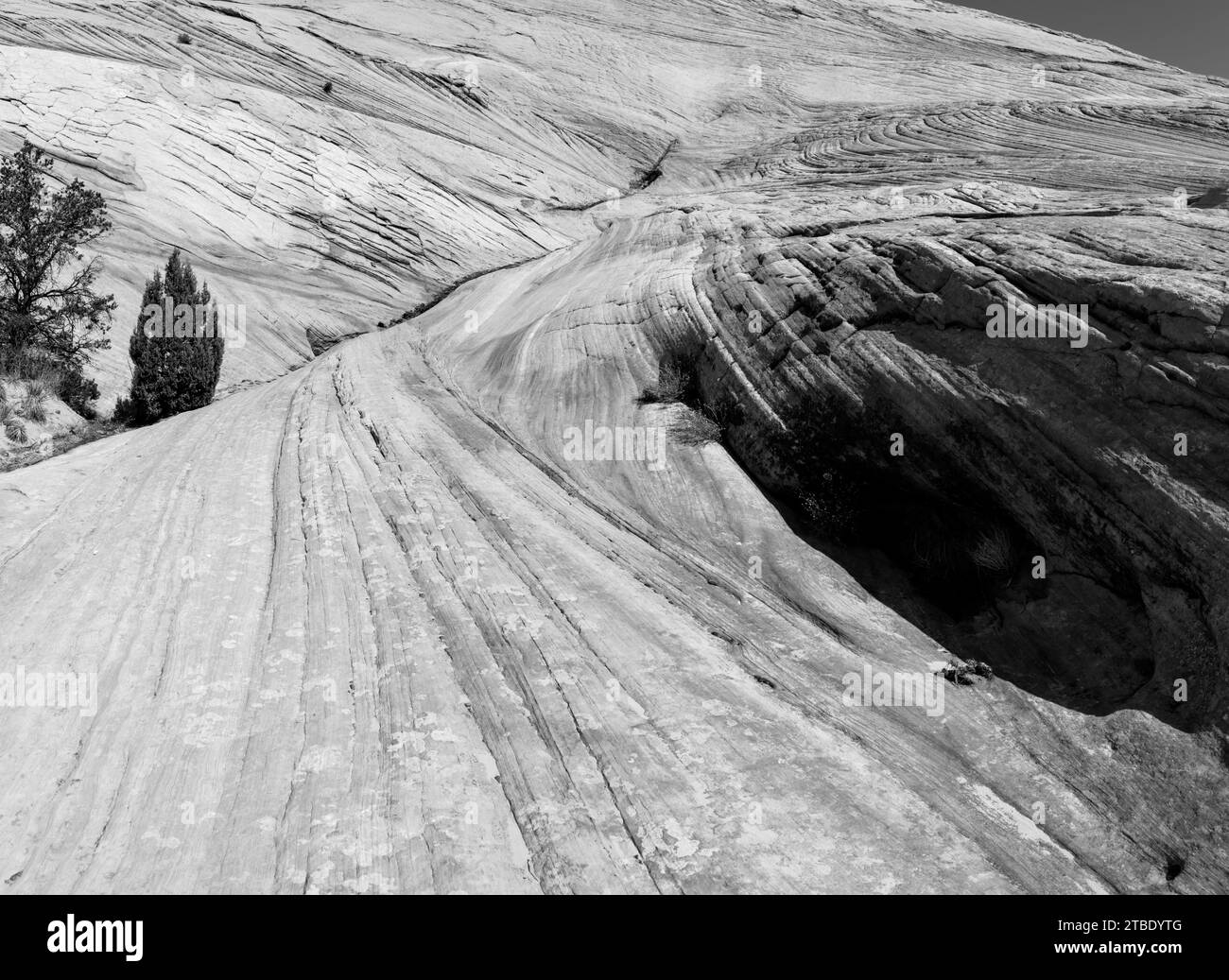 Fotografa l'area di Yellow Rock, una collina di arenaria per lo più gialla con colorate inclusioni. Cottonwood Canyon, Grand Staircase-Escalante nati Foto Stock