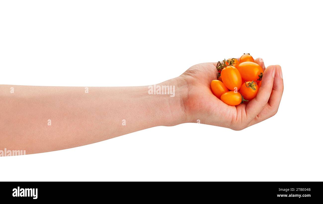 pomodoro ciliegia con prugna d'arancia nel percorso a mano isolato su bianco Foto Stock