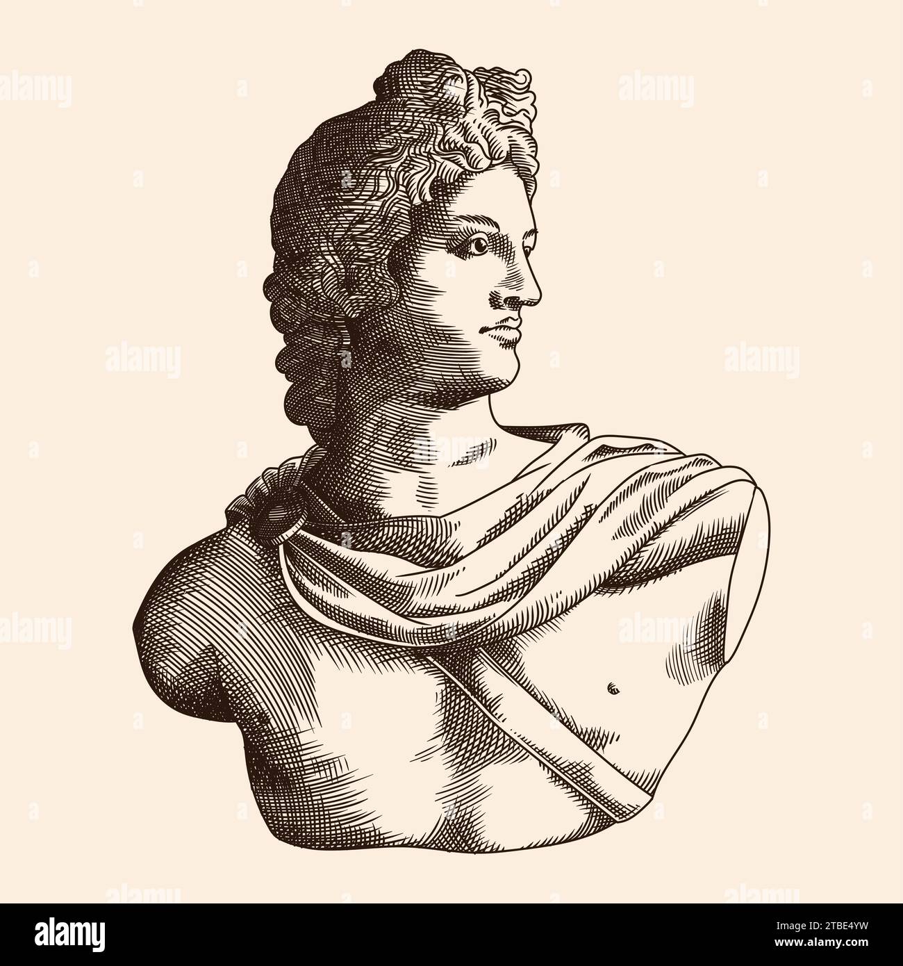 Busto dell'antico dio greco e romano Apollo. Illustrazione vettoriale in stile incisione. Illustrazione Vettoriale