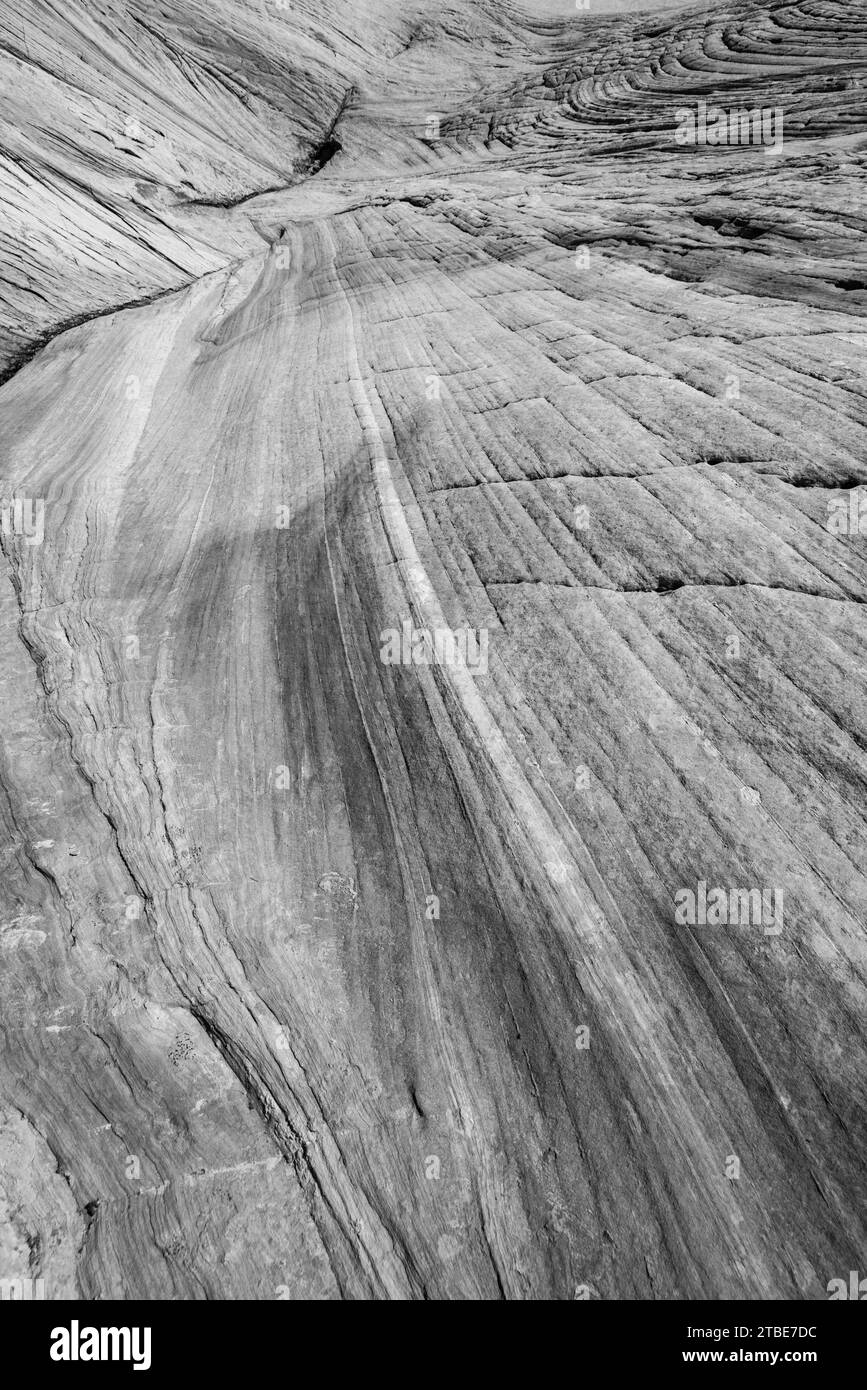 Fotografa l'area di Yellow Rock, una collina di arenaria per lo più gialla con colorate inclusioni. Cottonwood Canyon, Grand Staircase-Escalante nati Foto Stock