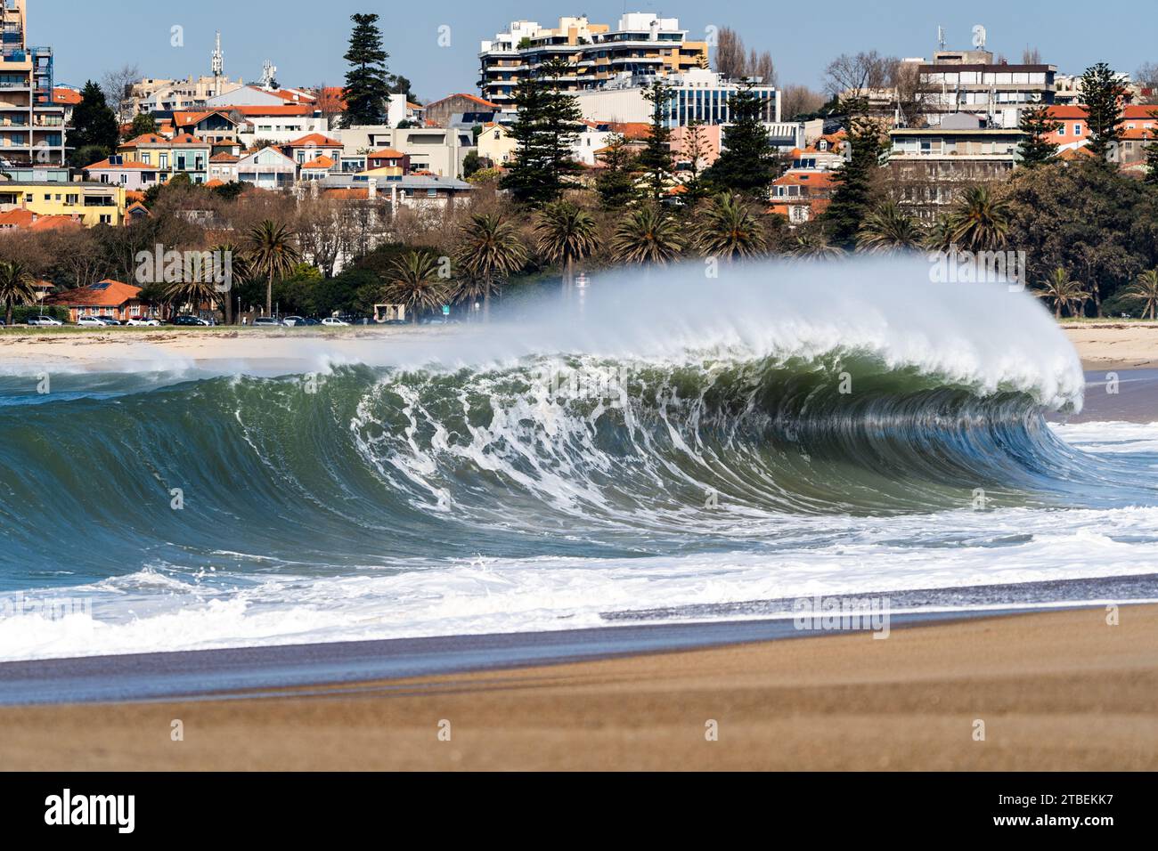 Contrasto urbano-marino: Un'onda dominante è al centro della scena, che si fonde perfettamente con lo skyline urbano della città di Porto, creando una composizione unica. Foto Stock