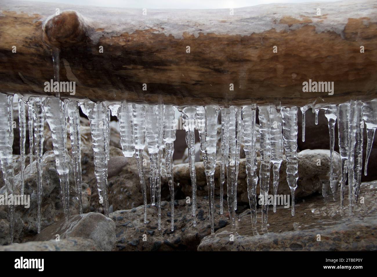 Ghiaccioli in un giorno invernale Foto Stock