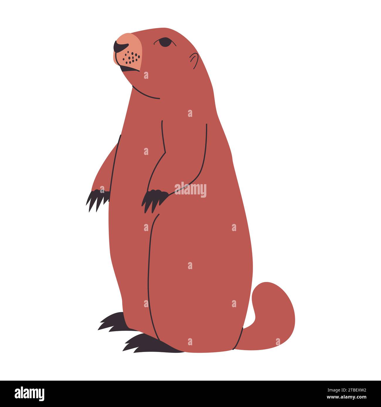 marmotta olimpica di colore marrone o cane della prateria in piedi posa roditore della natura selvaggia e animale di mammiferi Illustrazione Vettoriale