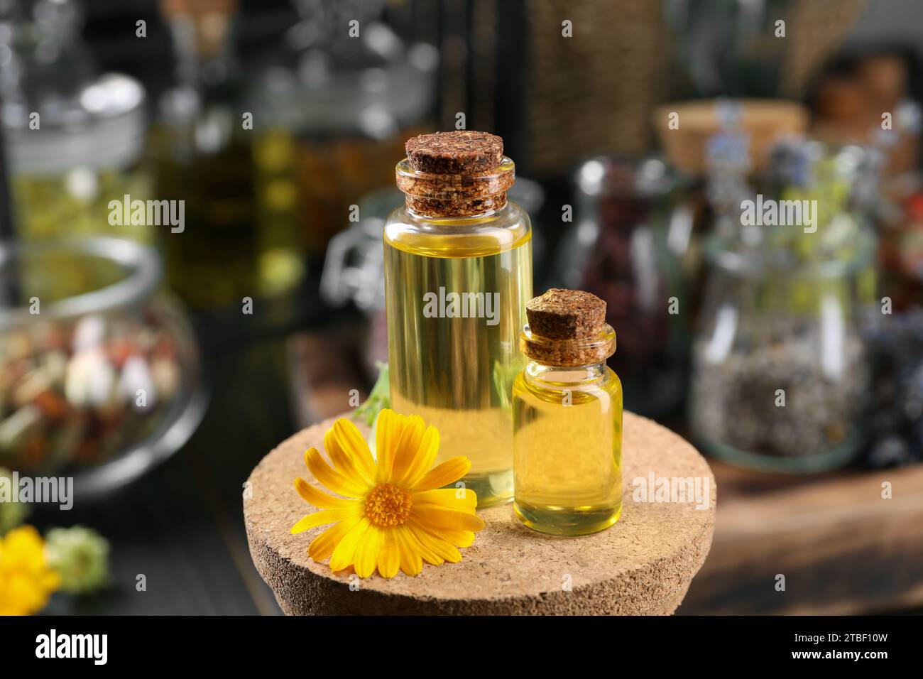 Bottiglie con oli essenziali alle erbe e fiore di calendula su sfondo sfocato Foto Stock