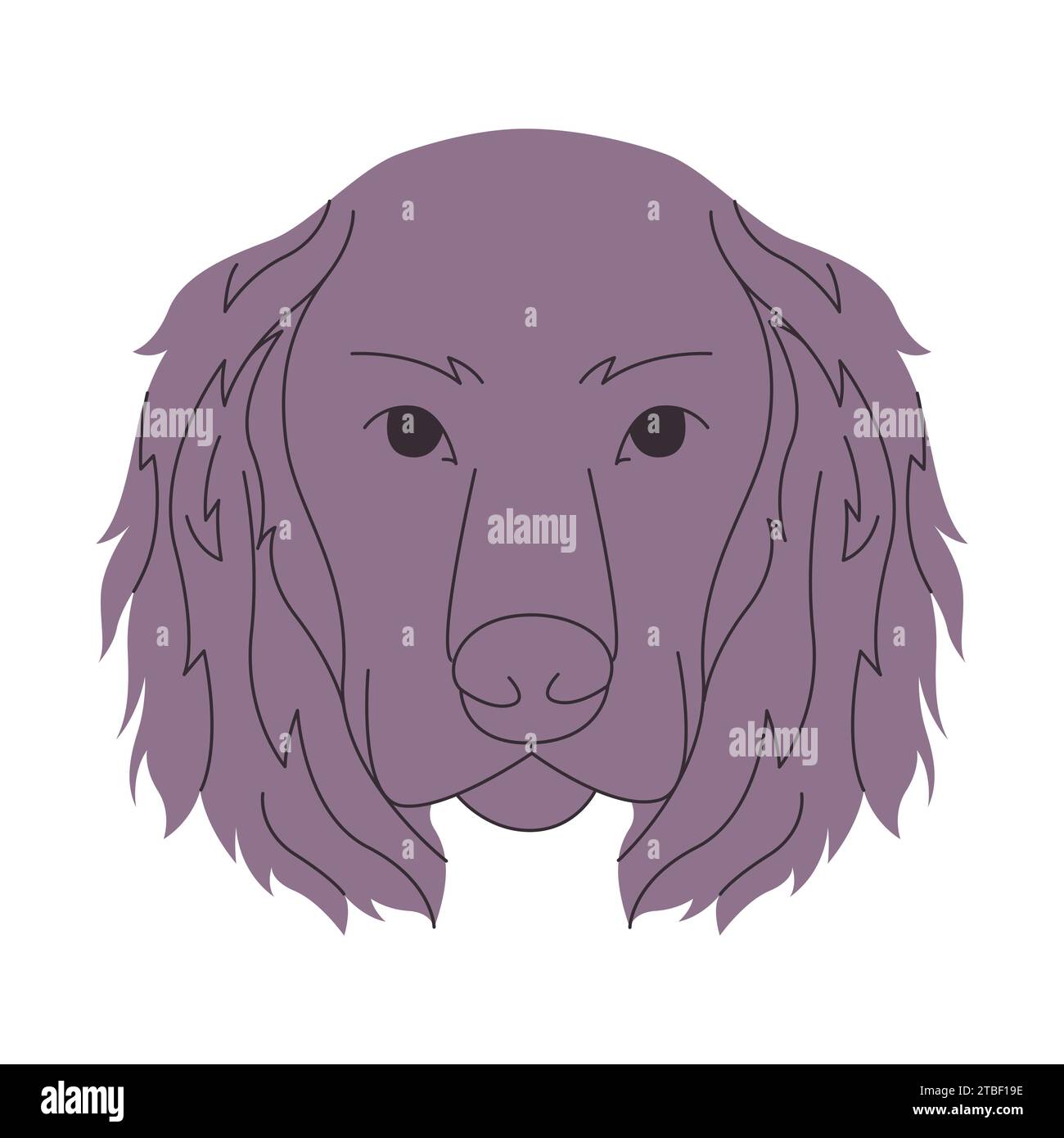 testa di colore grigio boykin spaniel cane da caccia mammifero animale domestico carino divertente adorabile animale domestico Illustrazione Vettoriale