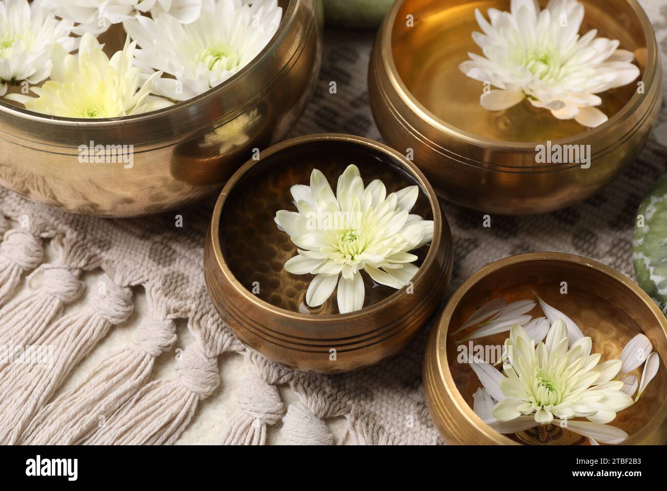Ciotole tibetane con acqua e splendidi fiori di crisantemo sul tavolo, primo piano Foto Stock
