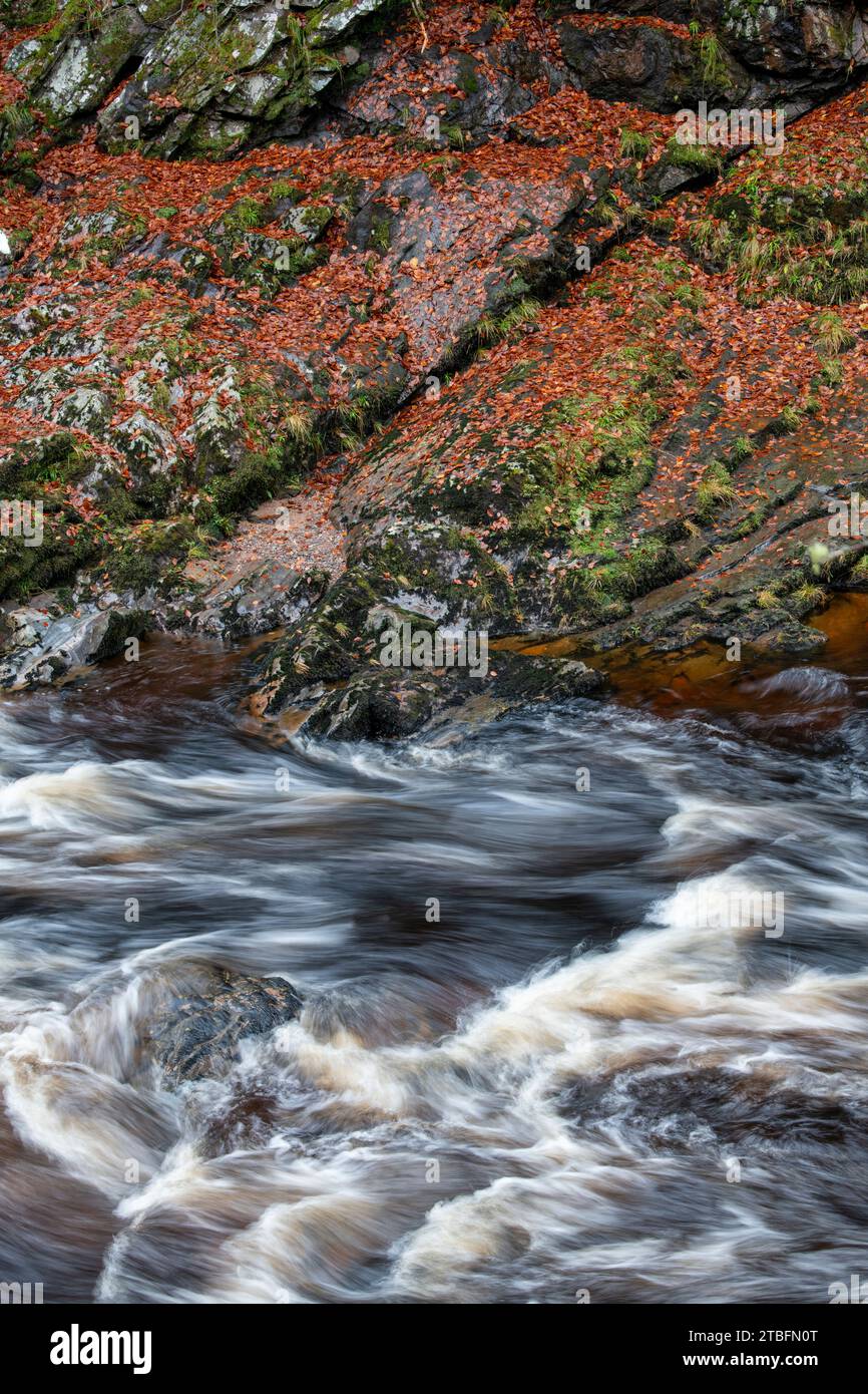 Il fiume Findhorn nel tardo autunno. Morayshire, Scozia Foto Stock