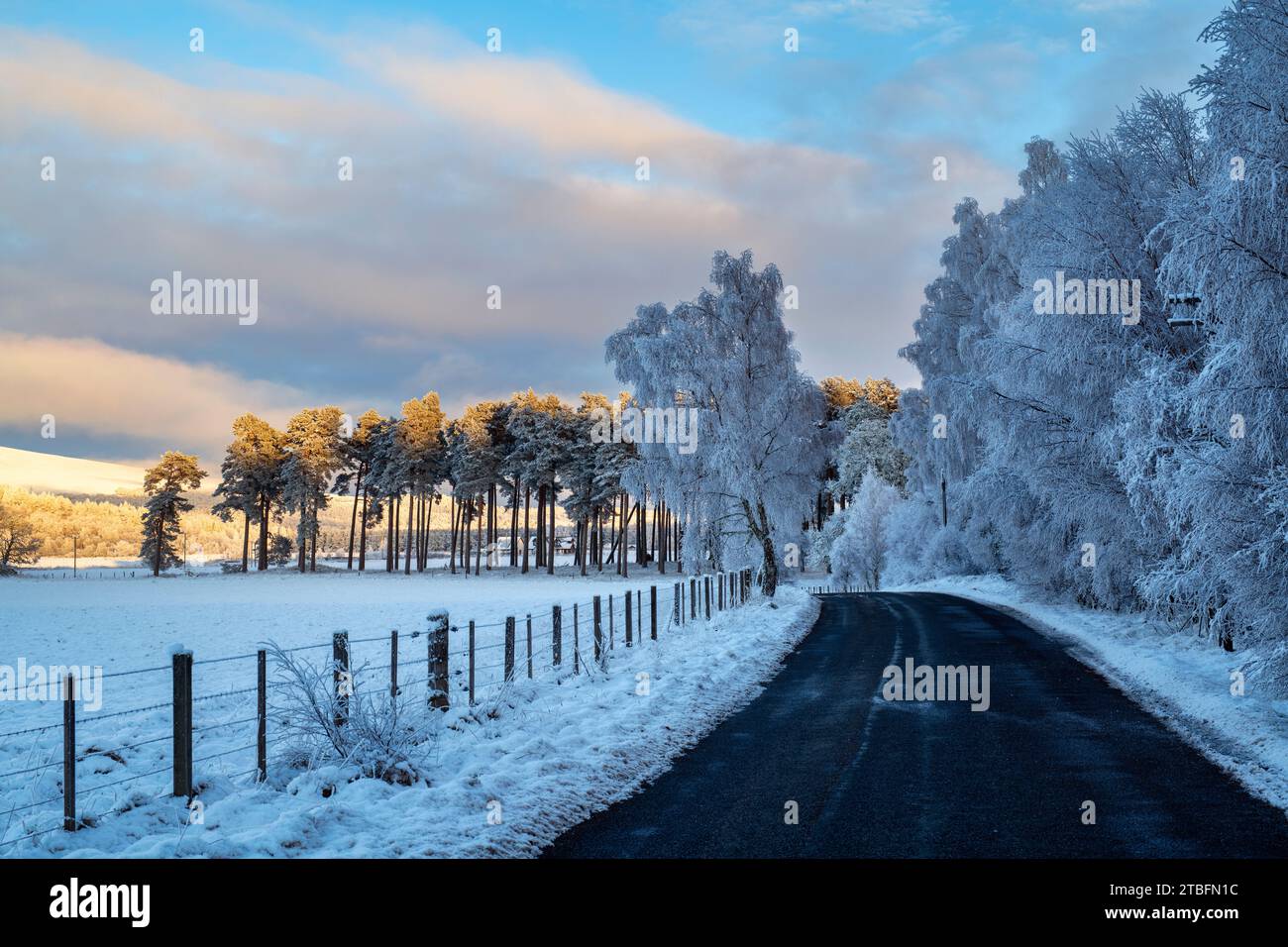 Neve e luce del tramonto lungo una strada di campagna. Morayshire, Scozia Foto Stock