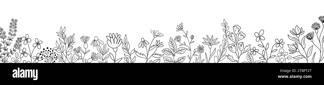 Linea botanica art Wild Flower Vector Border. Illustrazione Vettoriale