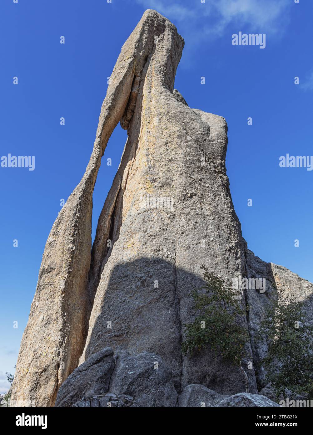 Pinnacolo dalla forma strana vicino all'ingresso del Needles Eye Tunnel sulla Needles Highway nel Custer State Park, South Dakota Foto Stock