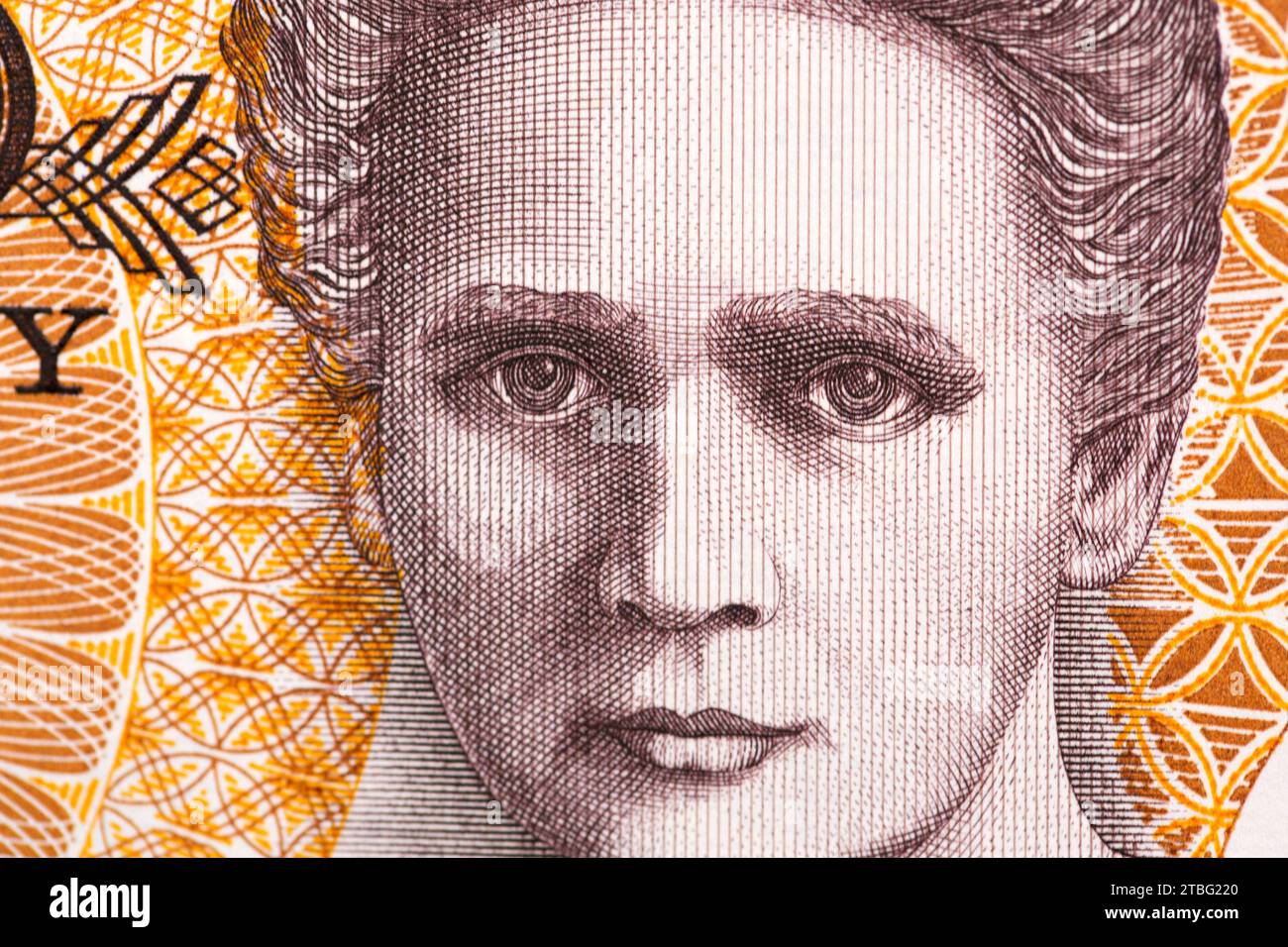 Marie Curie un ritratto di primo piano dal vecchio denaro polacco - Zloty Foto Stock