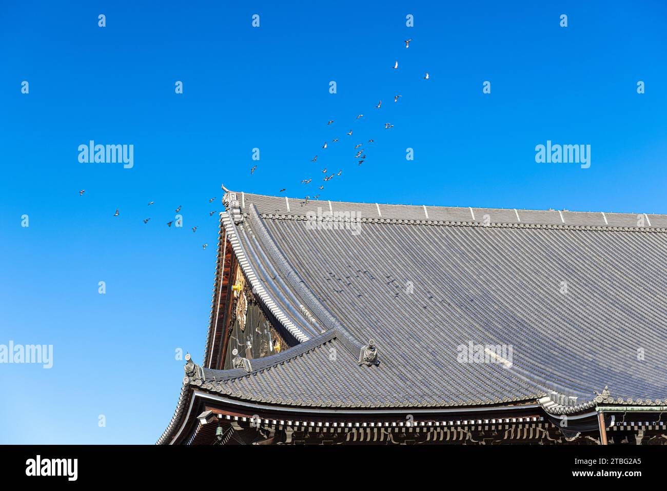 Gli uccelli volano sul tetto di un tempio giapponese Foto Stock