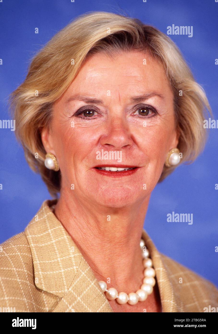 Elisabeth Liz Mohn, deutsche Verlegerin und Medienunternehmerin, Vorsitzende des Vorstands der Bertelsmann-Stiftung, Ehefrau des Verlegers Reinhard Mohn, Ritratto, circa 1992. Foto Stock