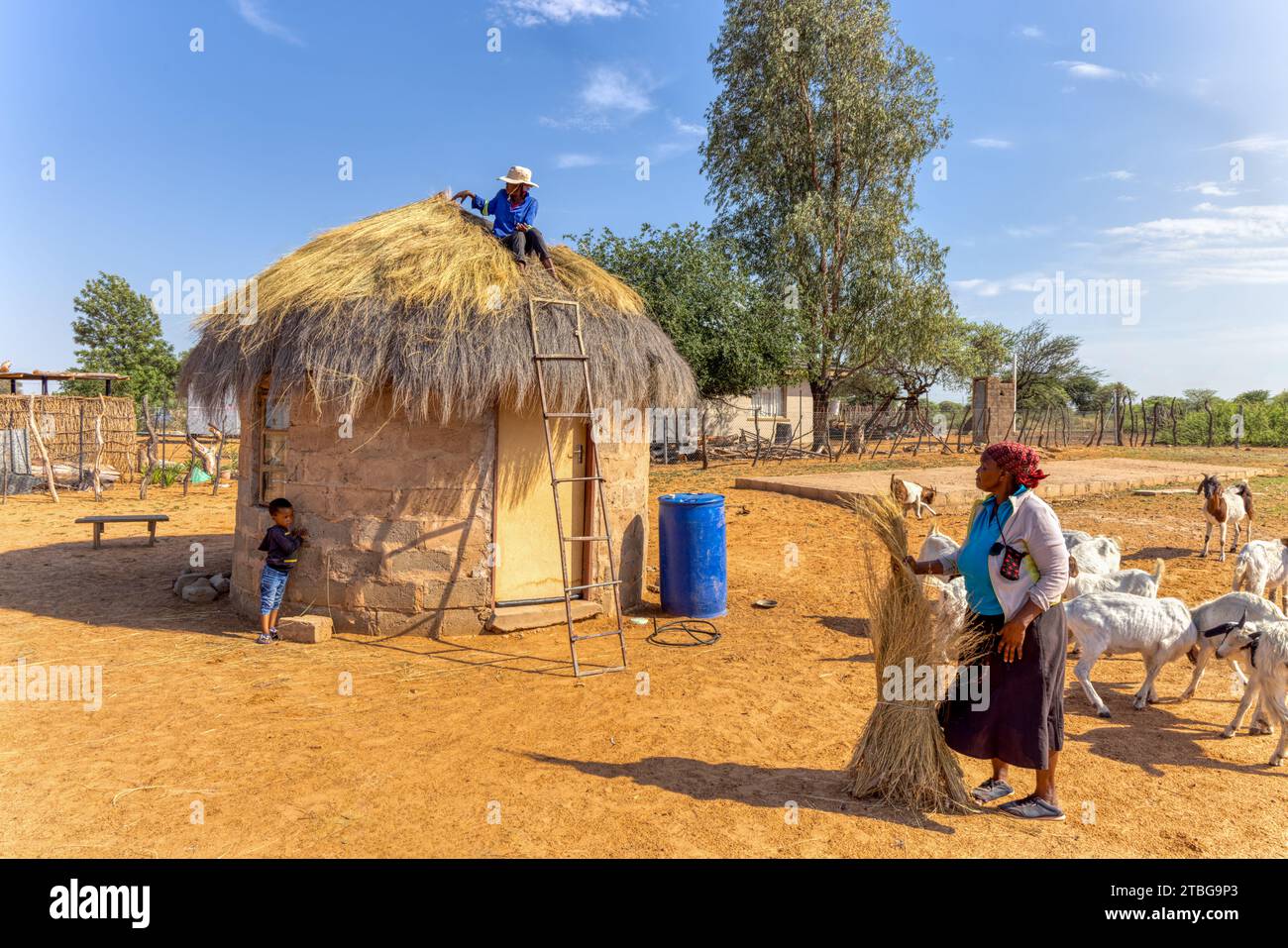 vita in villaggio africano, nonna che dà da mangiare alle capre, donna che fissa il tetto di paglia e bambino che si nasconde all'ombra dal sole ardente Foto Stock