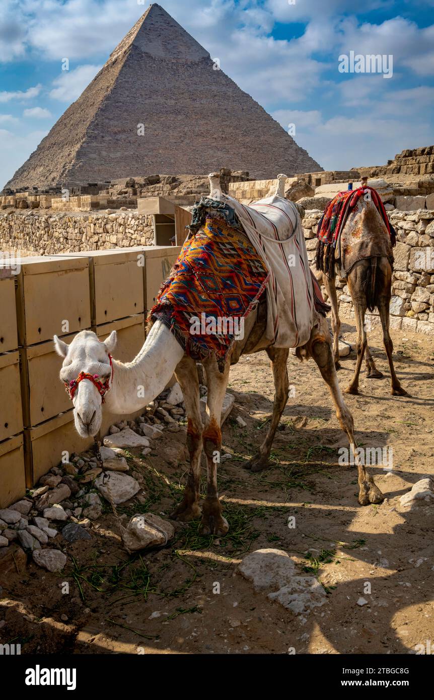 Piramide di Khafre o di Chefren, Giza, Egitto Foto Stock
