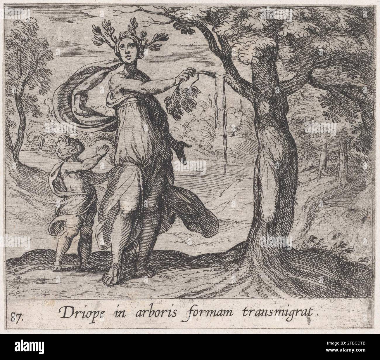 Tavola 87: Dryope cambiato in un albero di loto (Driope in arboris formam transmigrat), da 'Metamorphoses' 1951 di Ovidio di Antonio tempesta Foto Stock