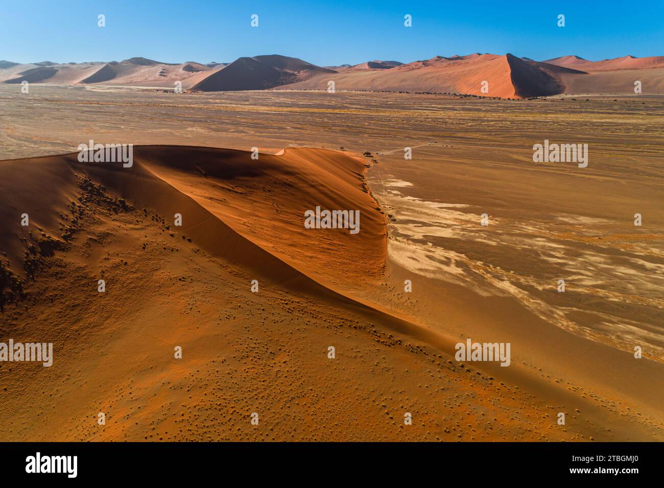Dune n° 45, Sossusvlei, Namib-Naukluft Park, Namibia, Africa Foto Stock