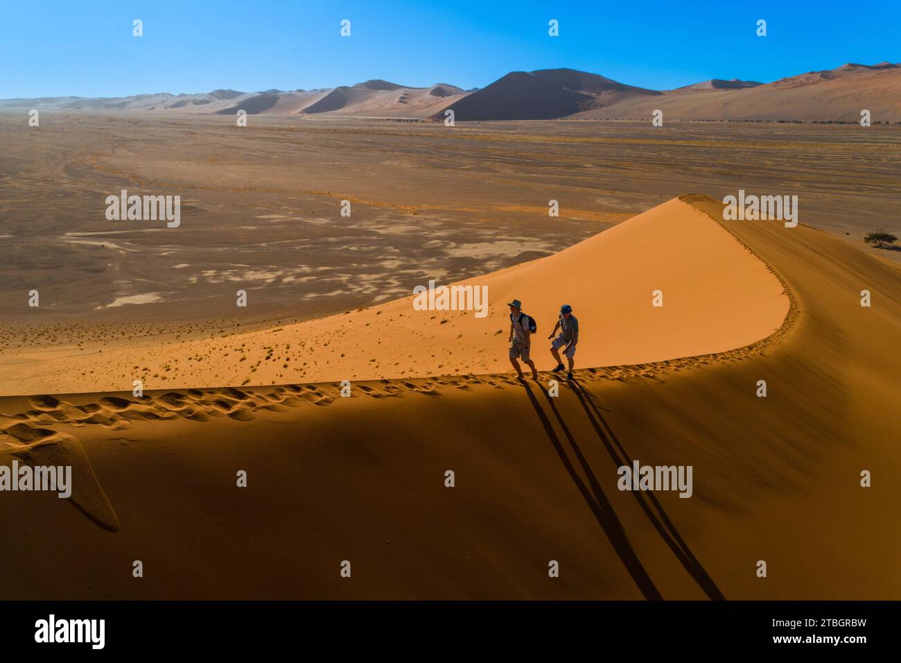 Dune n° 45, Sossusvlei, Namib-Naukluft Park, Namibia, Africa Foto Stock