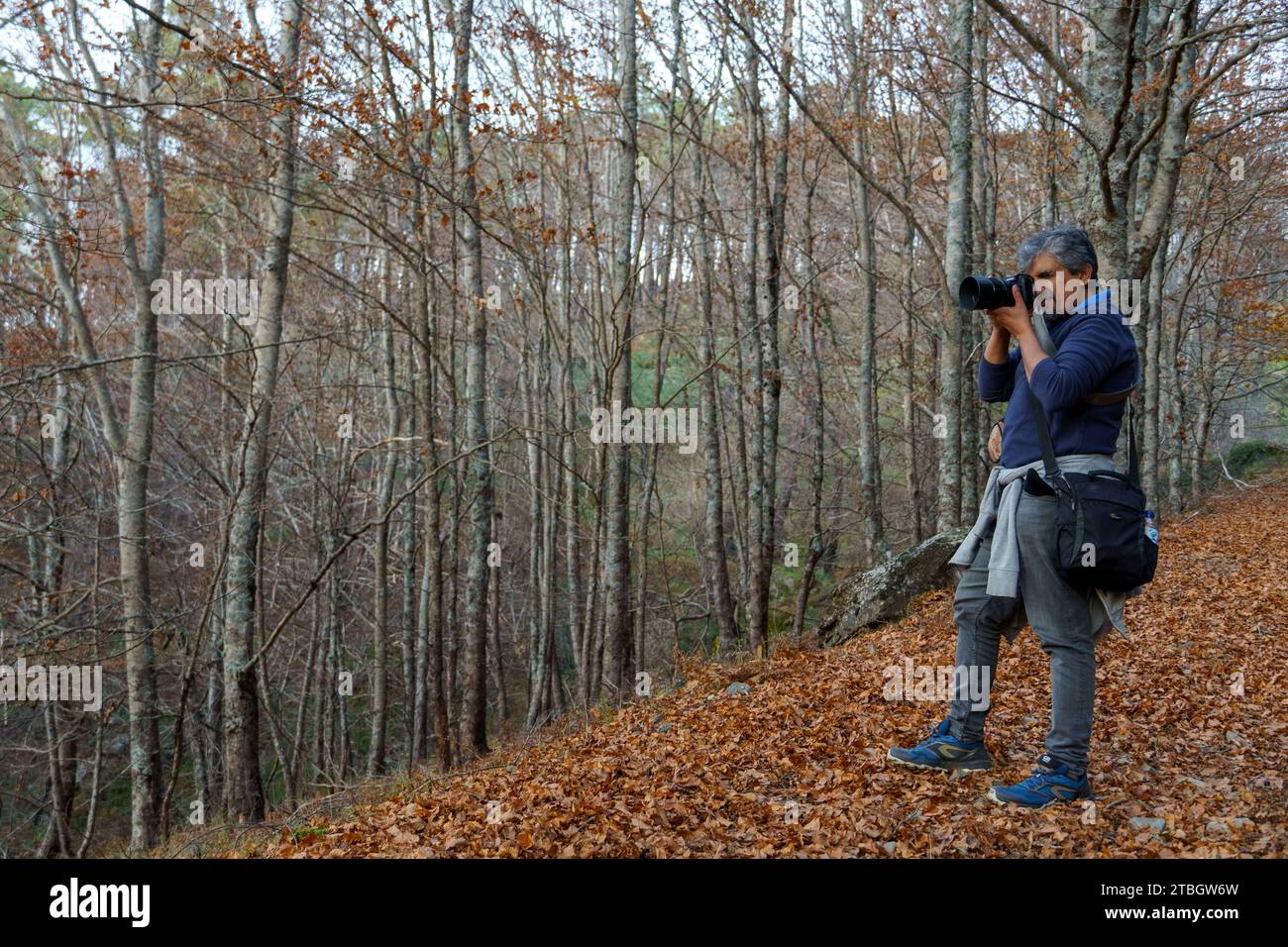 Fotografo paesaggista che scatta foto degli alberi nei boschi di Rota das Faias, Manteigas, Serra da Estrela, Portogallo, Europa Foto Stock