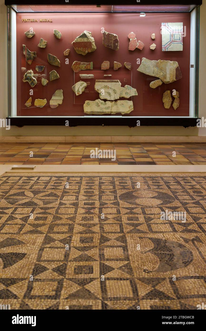 Reperti romani presso il Museo monografico in Conímbriga, Portogallo, Europa Foto Stock