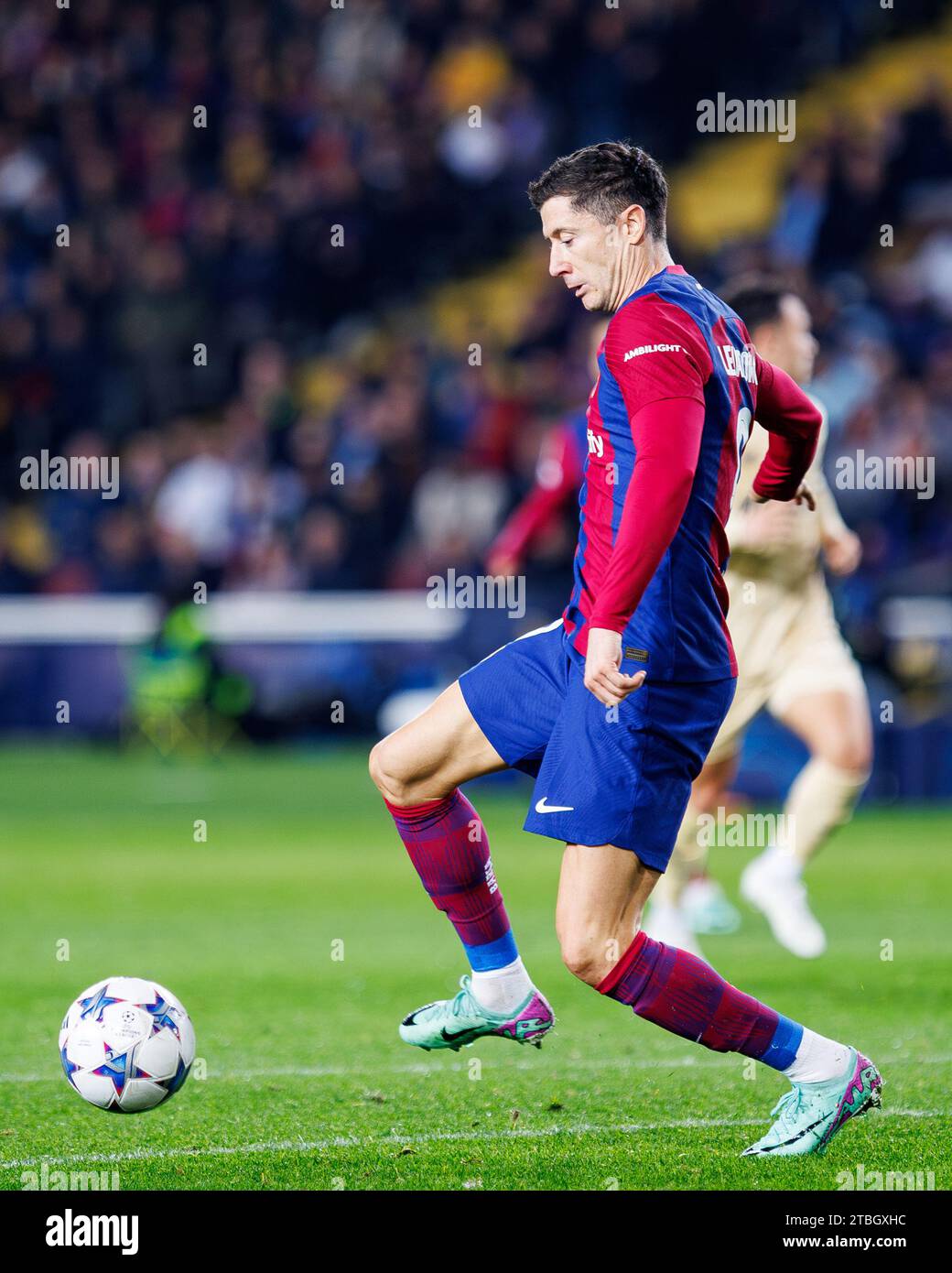 BARCELLONA - novembre 28: Lewandowski in azione durante la partita di Champions League tra FC Barcelona e FC Porto all'Estadi Olimpic Lluis Companys On Foto Stock