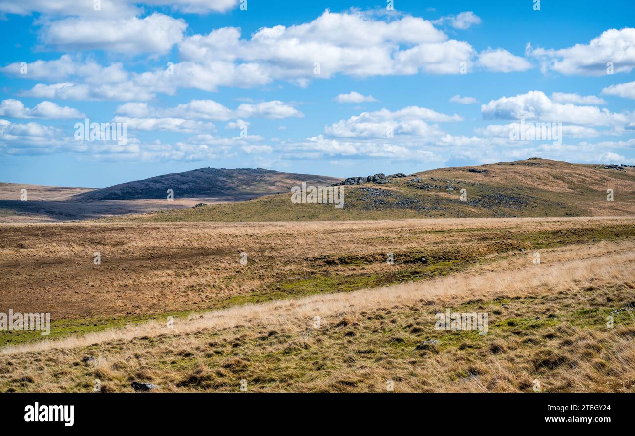 Vista di Steeperton Tor, distante a sinistra, e East Mill Tor, a destra, vista dai pendii inferiori di West Mill Tor, Dartmoor National Park, Devon, Regno Unito. Foto Stock