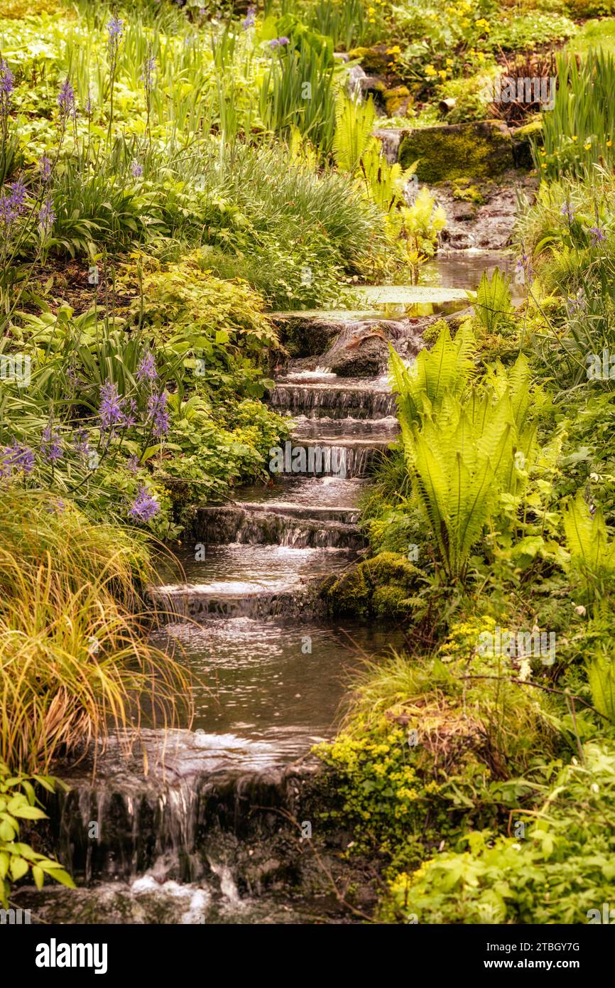 The Lower Rock Gully al Royal Horticultuaral Society Garden Rosemoor, vicino a Great Torrington, Devon, Regno Unito. Foto Stock