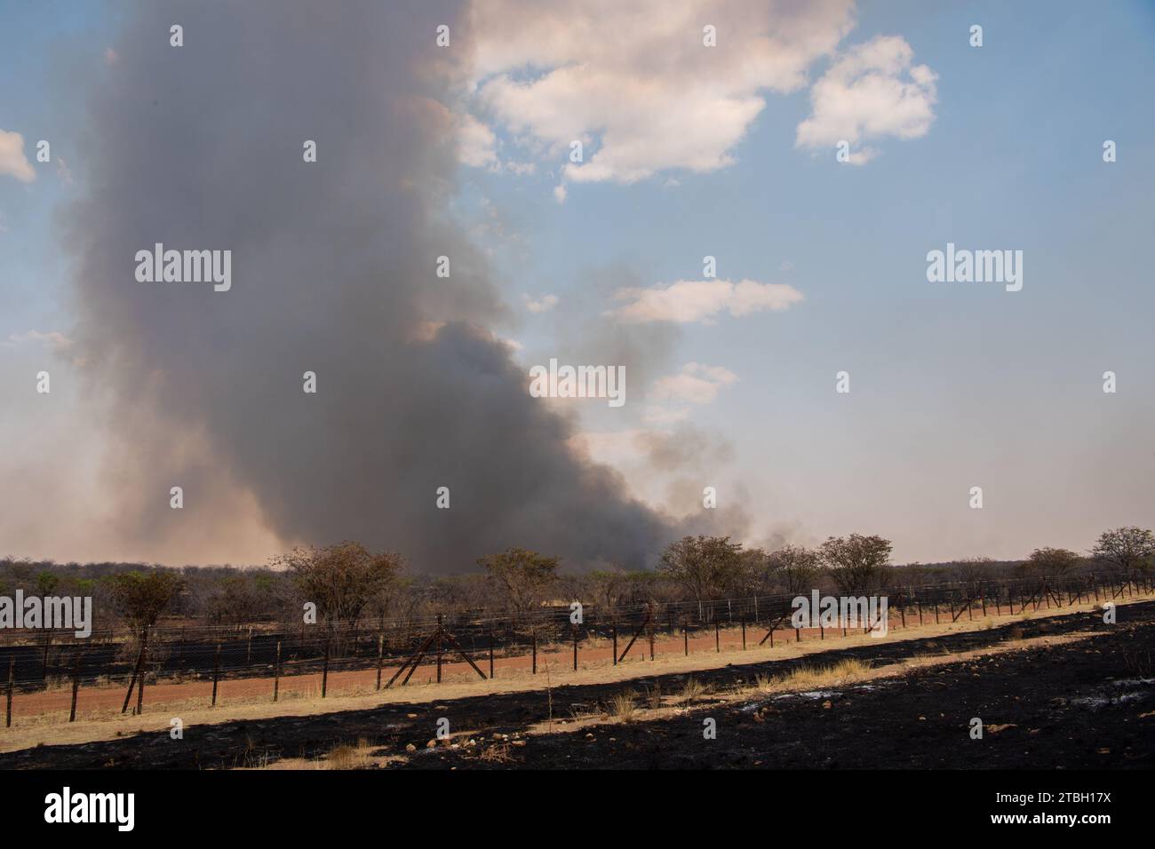 Incendio nel Parco Nazionale di Etosha, Namibia, Africa Foto Stock