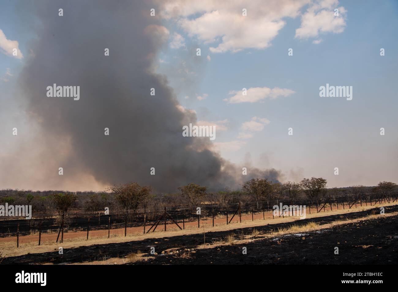 Incendio nel Parco Nazionale di Etosha, Namibia, Africa Foto Stock