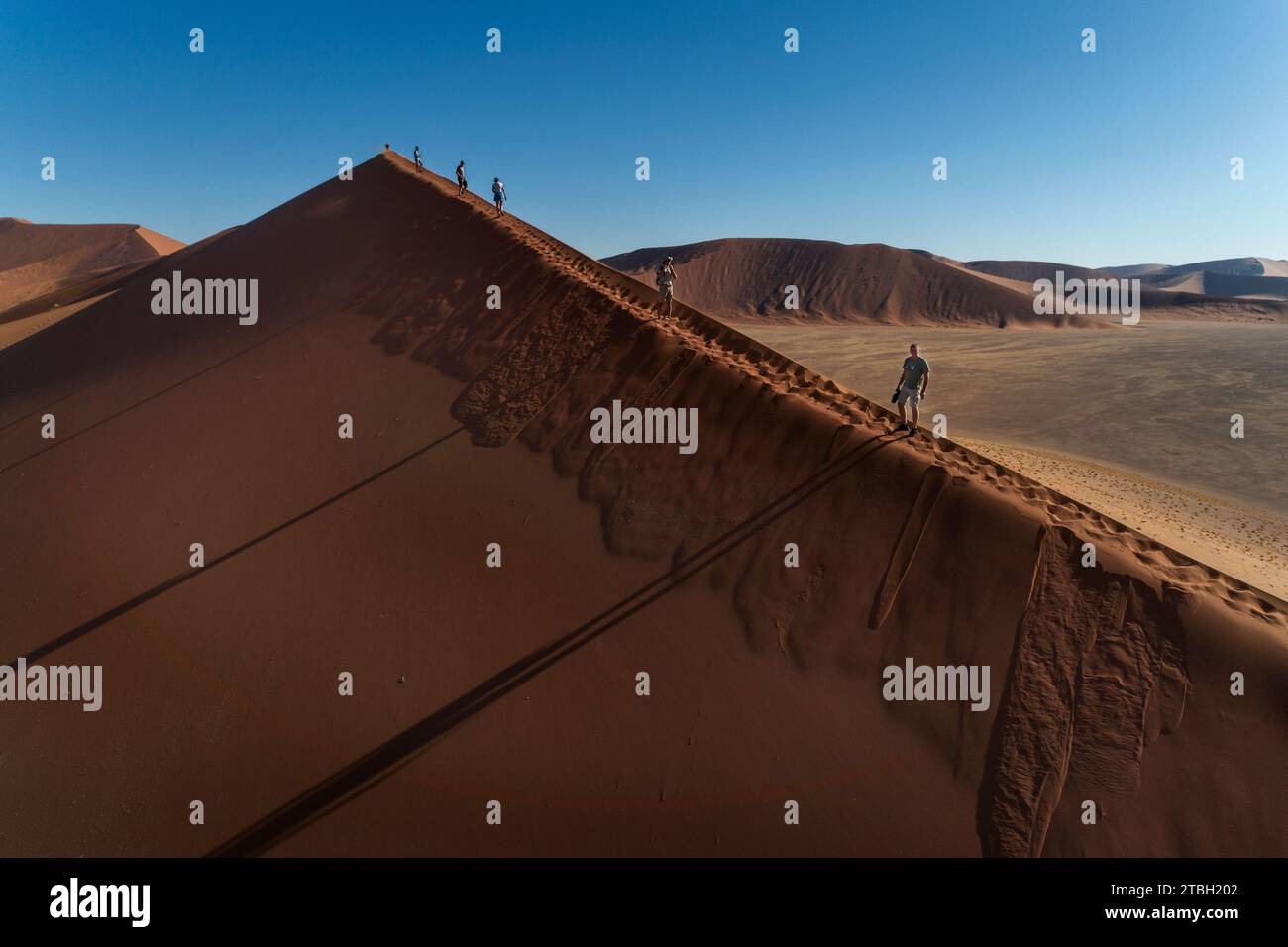 Dune n° 45, Sossusvlei, Namib-Naukluft Park, Namibia, Africa Foto Stock