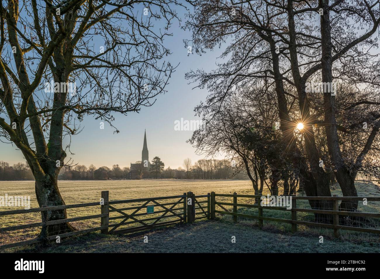 Cattedrale di Salisbury in una gelida mattinata invernale, Salisbury, Wiltshire, Inghilterra. Inverno (febbraio) 2023. Foto Stock
