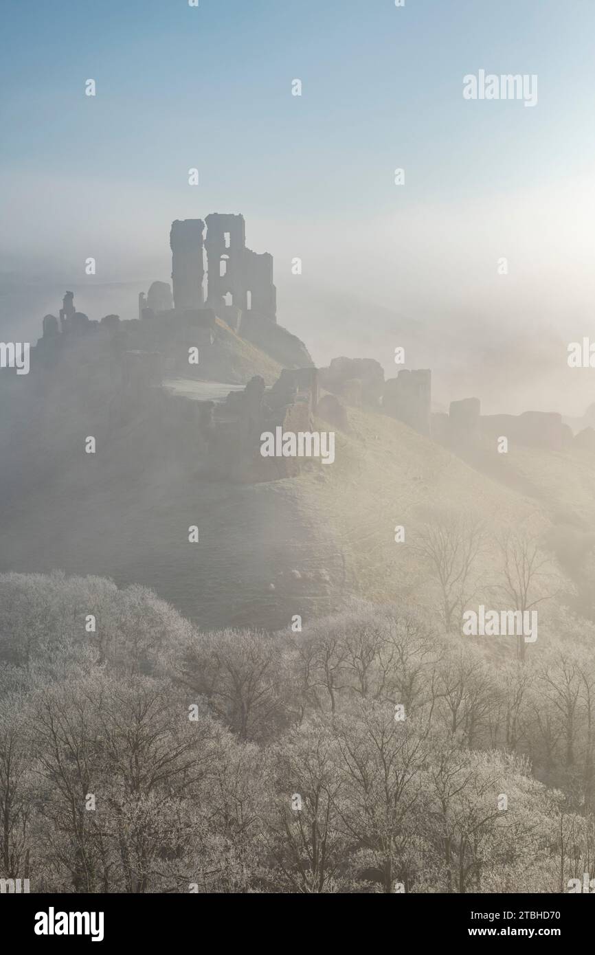 Le rovine del castello di Corfe emergono dalla nebbia all'alba, Corfe Castle, Dorset, Inghilterra. Inverno (febbraio) 2023. Foto Stock