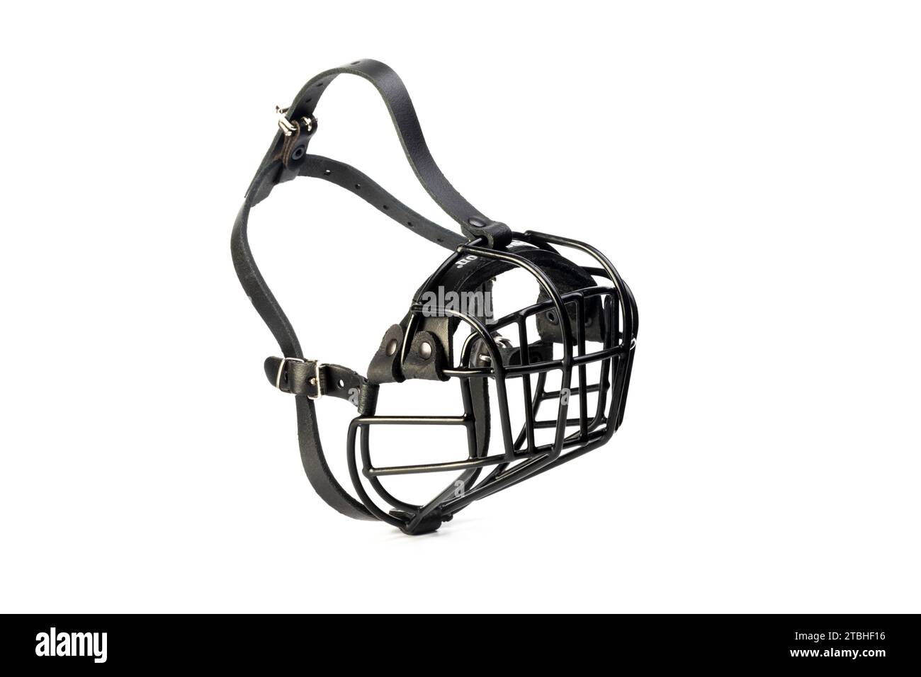 Una museruola Champion Best Basket per un Bulldog francese Foto Stock