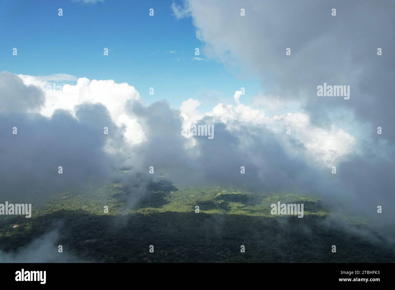 Paesaggio verde vista aerea droni nelle giornate di sole Foto Stock