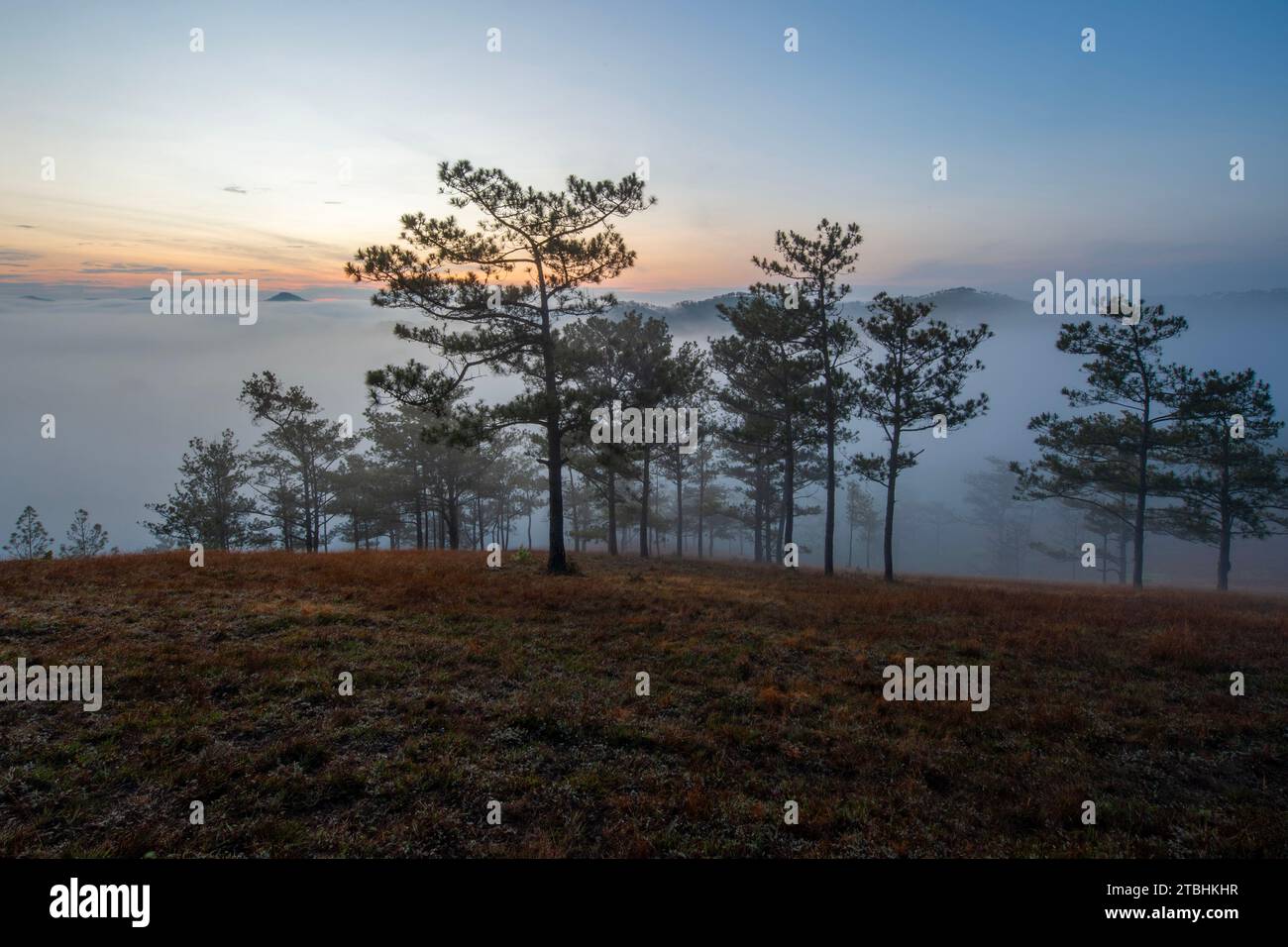 17 novembre 2022: Vista panoramica della città di da Lat, provincia di Lam Dong, Vietnam Foto Stock