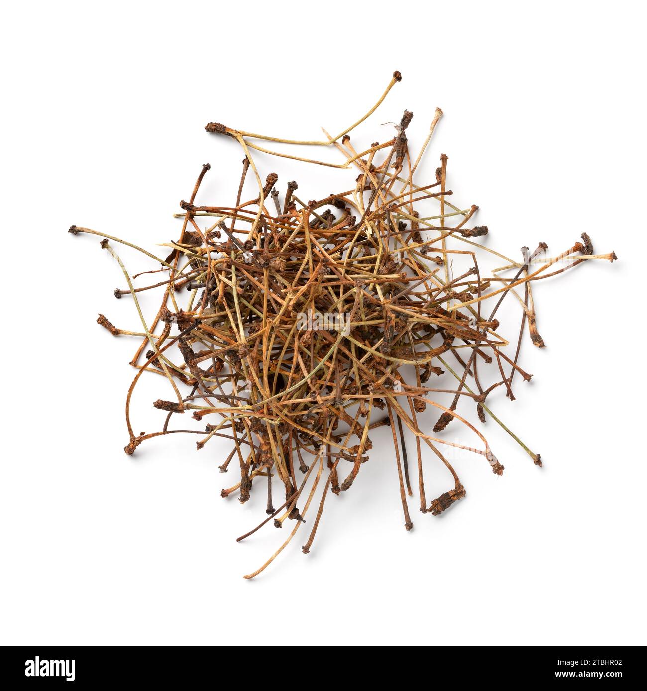 Cumulo di gambi di ciliegia essiccati utilizzati per il tè come medicina alternativa primo piano isolato su sfondo bianco Foto Stock