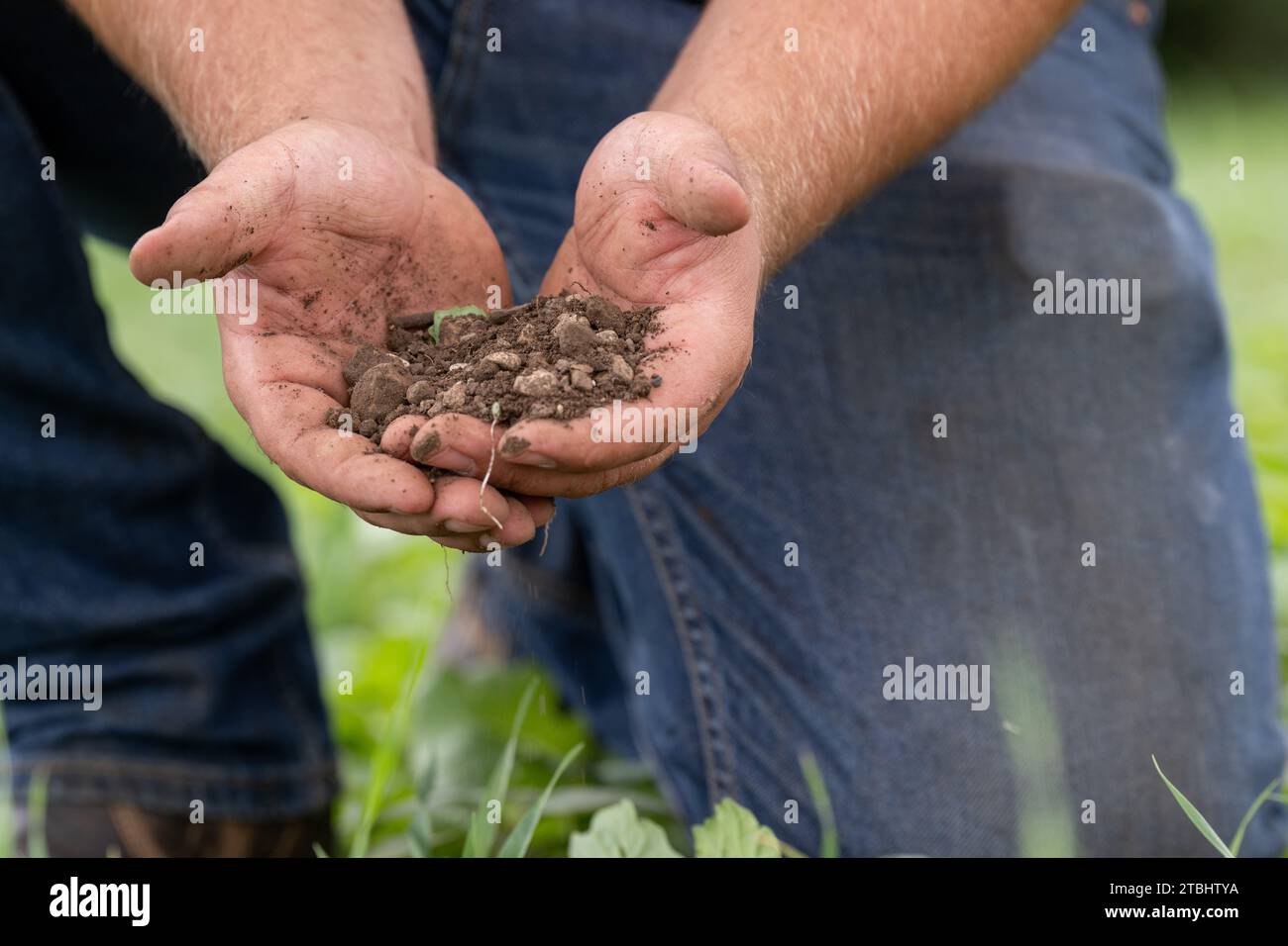 Contadino che tiene il terreno di stoney tra le mani. Co Durham, Regno Unito. Foto Stock