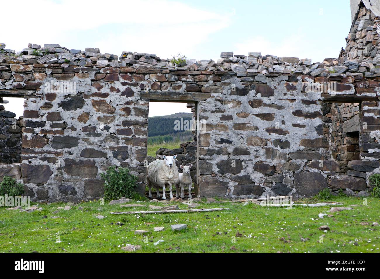 Shiaba, un villaggio abbandonato a causa delle autorizzazioni delle Highland, sull'isola di Mull in Scozia Foto Stock