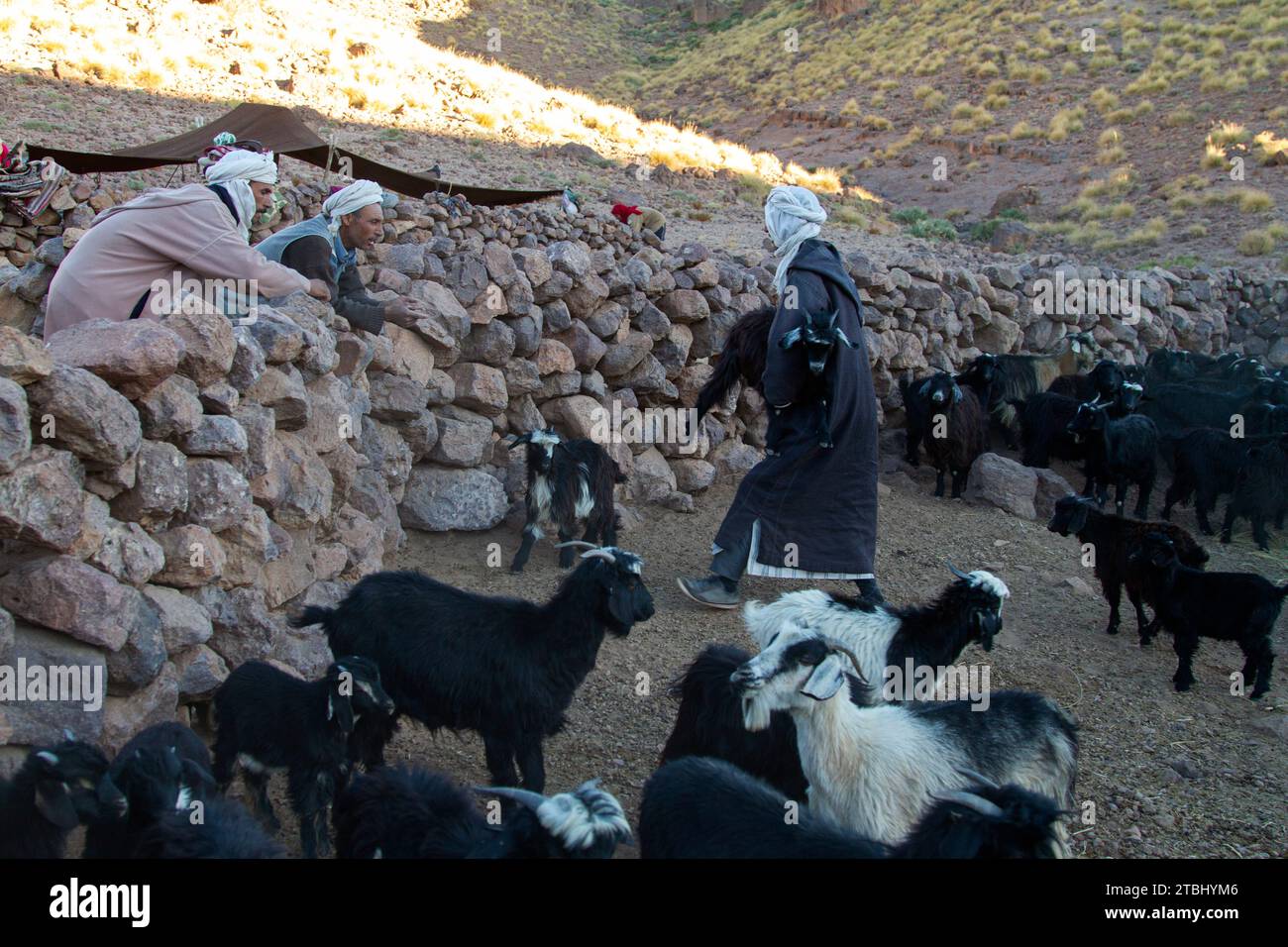 Jbel Saghro Foto Stock