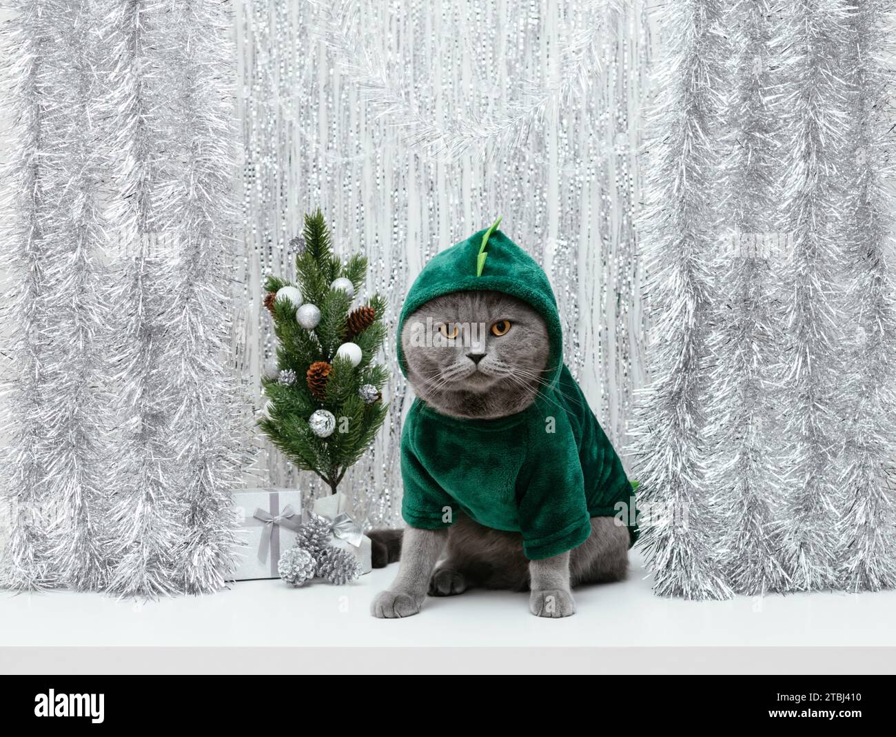 Felpa con cappuccio verde su sfondo argento lucido con albero di Natale. Biglietto d'auguri con gatto in costume da drago. Simbolo del nuovo anno 2024. Foto Stock