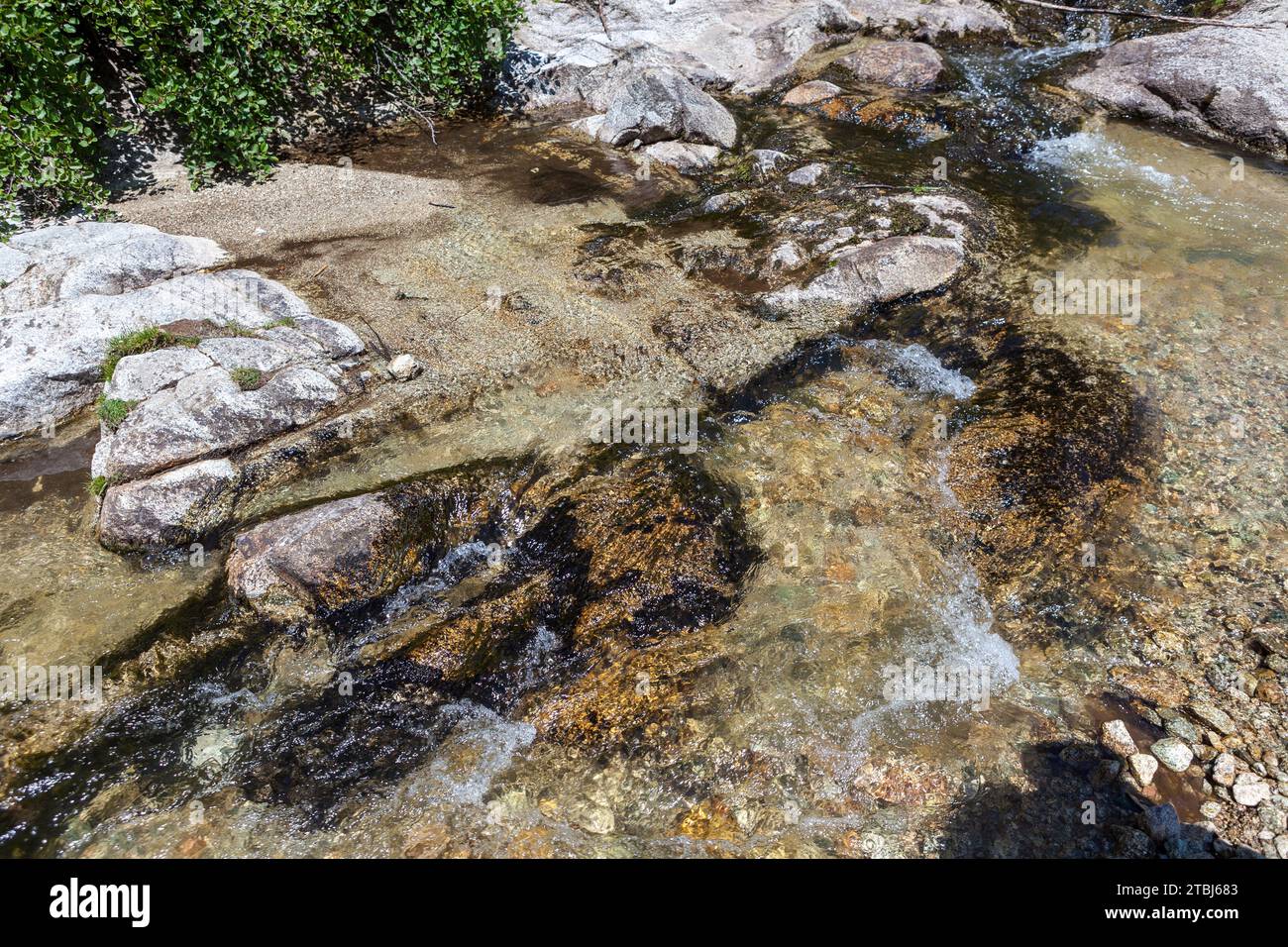 Torrente con acqua limpida, Corsica, Francia Foto Stock