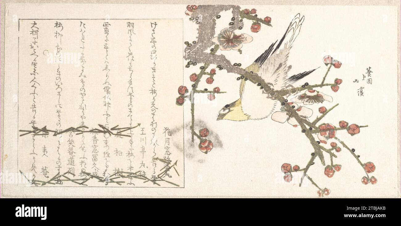 Bush Warbler on a Plum Branch (Ume ni uguisu) 1929 di Totoya Hokkei Foto Stock