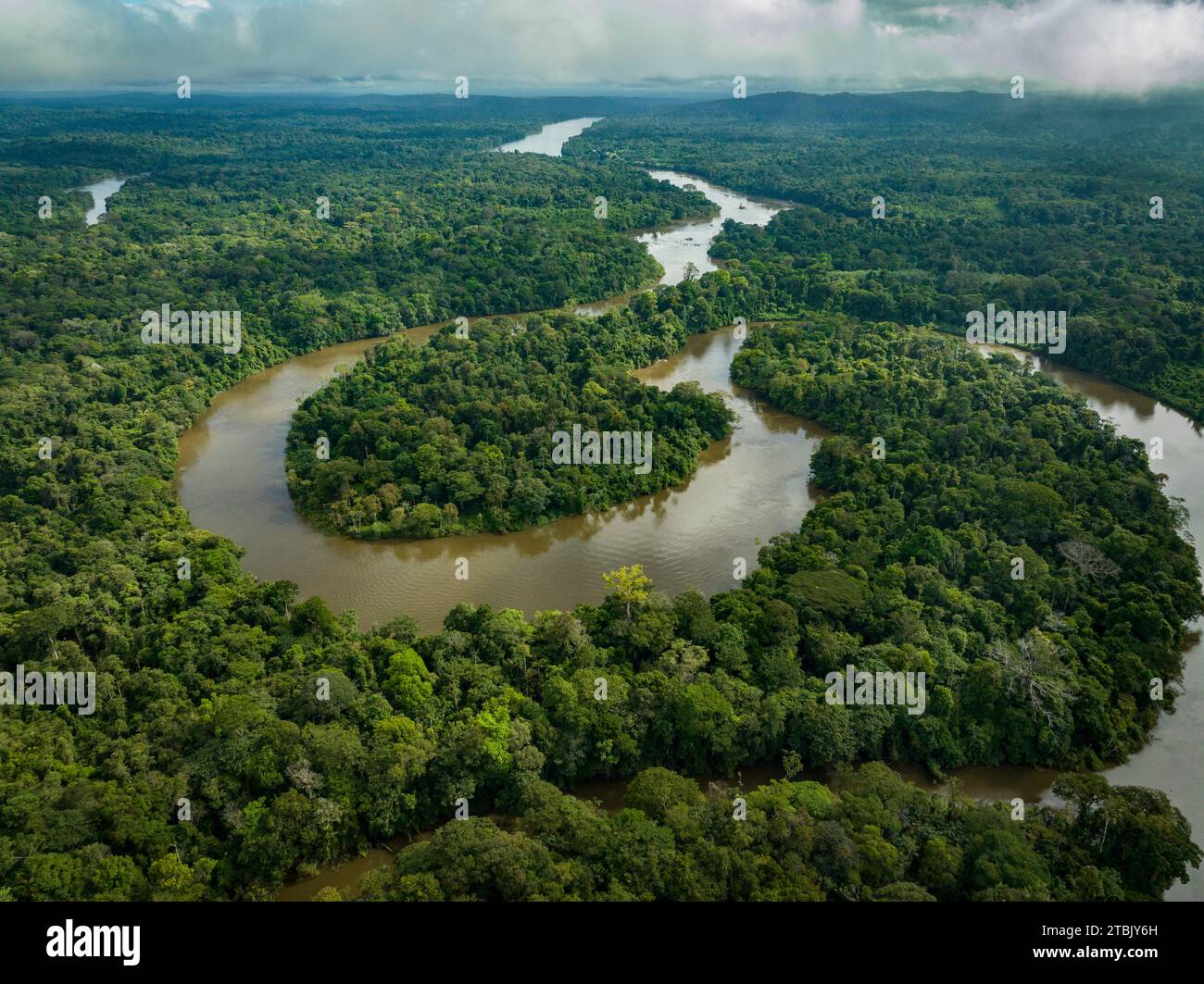 © Florian Launette & Mégane Chêne/MAXPPP - Xin Man 11/08/2023 Guyane- Forêt Amazonienne. Illustrazione rivière Amazonie Illustration sur Talhuwen, également orthographié comme Taluwen, Taluhen ou Taluen, est un Village Wayana situé sur la rivière Lawa en Guyane. La Guyane est une collectivité territoriale unique French située en Amérique du Sud, limitrophe du Brésil au sud-est et au sud et du Suriname à l'ouest. Elle est la seule collectivité franaise d'outre-mer de nature continentale. SES compétences, identiques aux autres régions et départements de France, sont regroupées depuis 20 Foto Stock