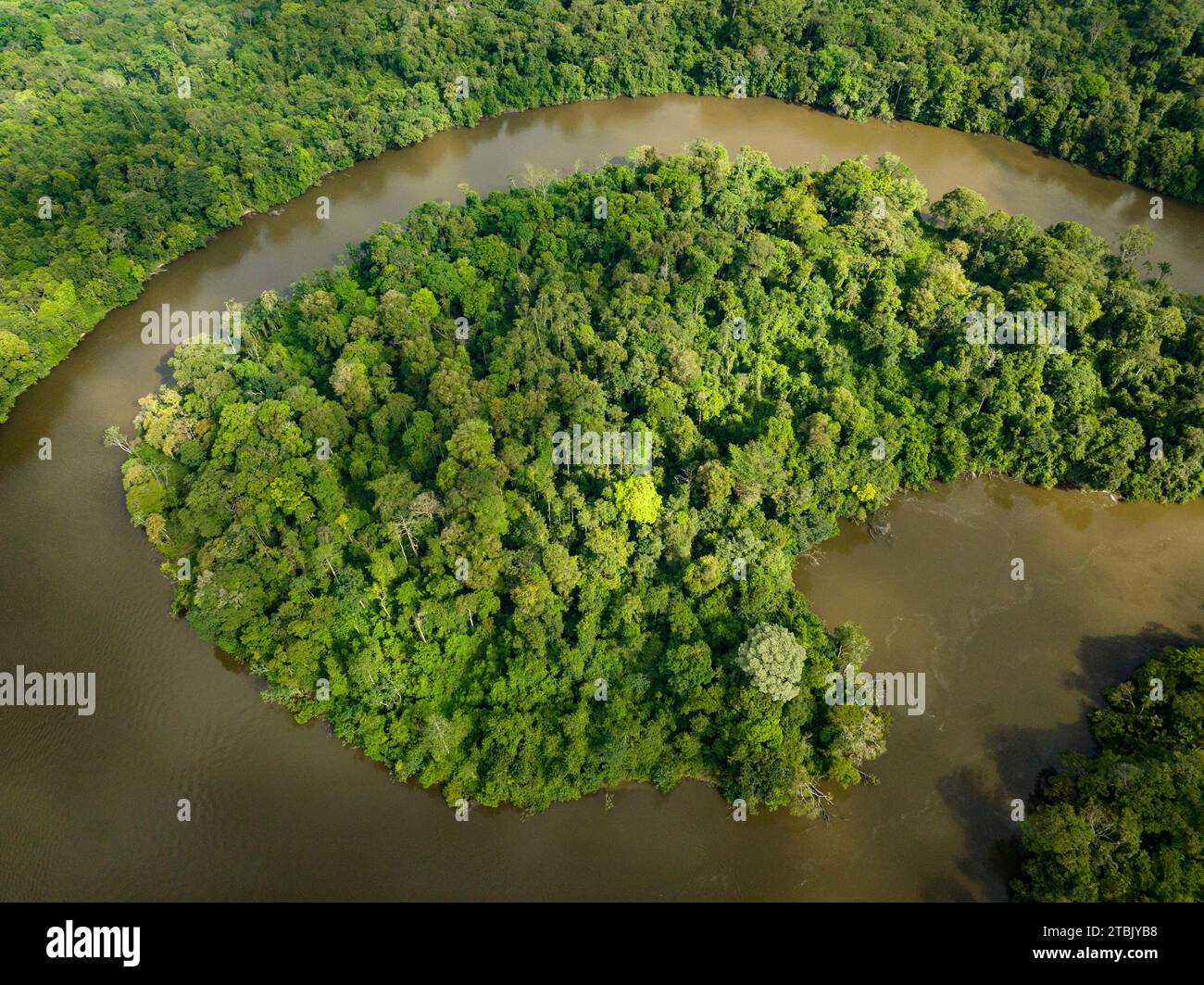 © Florian Launette & Mégane Chêne/MAXPPP - Talhuwen 07/12/2023 Guyane- Forêt Amazonienne. Illustrazione rivière Amazonie Illustration sur Talhuwen, également orthographié comme Taluwen, Taluhen ou Taluen, est un Village Wayana situé sur la rivière Lawa en Guyane. La Guyane est une collectivité territoriale unique French située en Amérique du Sud, limitrophe du Brésil au sud-est et au sud et du Suriname à l'ouest. Elle est la seule collectivité franaise d'outre-mer de nature continentale. SES compétences, identiques aux autres régions et départements de France, sont regroupées depuis 2 Foto Stock